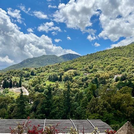B&B Su Biancu - Sardinian Experience Urzulei Eksteriør billede